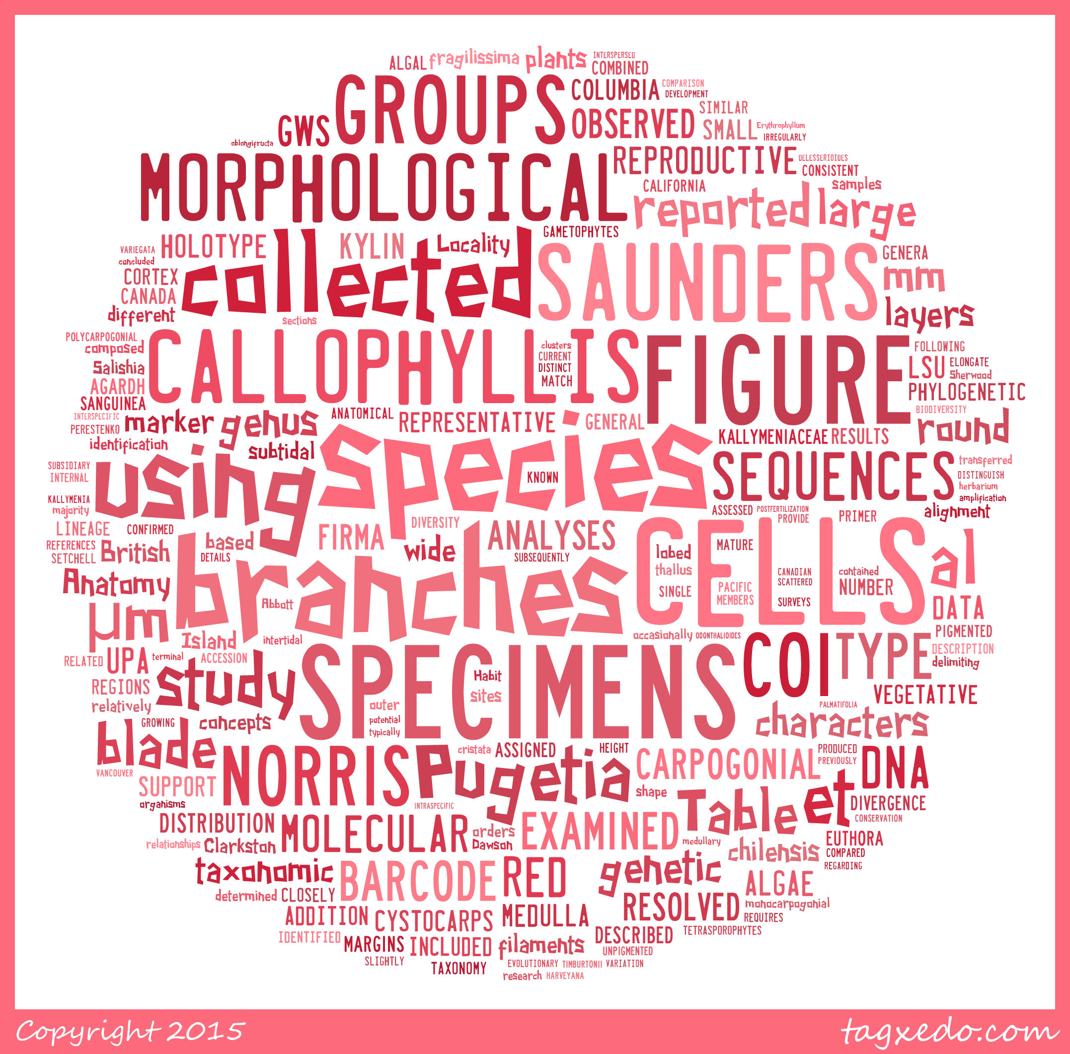 Doctoral dissertation theology